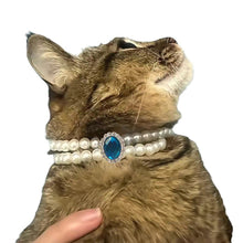 Load image into Gallery viewer, Ellipse Heart Shape Diamond Inlaid Pet Cat Collar Pets Shiny Crystal Collars Footprints Accessories For Kitten Dog Collar Cat Necklace
