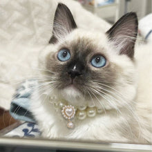 Load image into Gallery viewer, Ellipse Heart Shape Diamond Inlaid Pet Cat Collar Pets Shiny Crystal Collars Footprints Accessories For Kitten Dog Collar Cat Necklace
