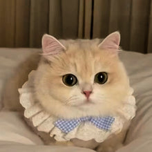 Load image into Gallery viewer, Lace Bowknot Pearl Collar Cat Dog Neckerchief Pet Cats Kitten Dog Puppy String Bib Necklace Necktie Neck Strap Scarf Accessories

