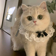 Load image into Gallery viewer, Lace Bowknot Pearl Collar Cat Dog Neckerchief Pet Cats Kitten Dog Puppy String Bib Necklace Necktie Neck Strap Scarf Accessories
