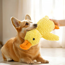 Load image into Gallery viewer, Cute Pet Toy Pet Durable Squeak Interactive Toy Companion Bite-resistant Indoor Dog Boredom Toy Dog Grinding Tooth Health Pet Sleeping Toys

