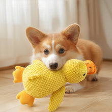Load image into Gallery viewer, Cute Pet Toy Pet Durable Squeak Interactive Toy Companion Bite-resistant Indoor Dog Boredom Toy Dog Grinding Tooth Health Pet Sleeping Toys
