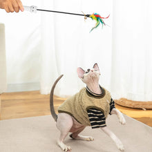 Load image into Gallery viewer, Interactive Red Dot Laser Cat Toy Safe USB Charging 3IN 1 Kitten Teaser Toy Portable Cat Skin Funny Laser Pen Cat Chaser Stick
