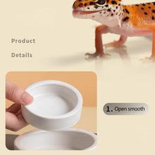 Load image into Gallery viewer, Reptile Food Bowl Anti-Escape Ceramic Feeder High Rim Anti-Slip Feeder Dish for Lizards Leopard Gecko Chameleon Corn Snake
