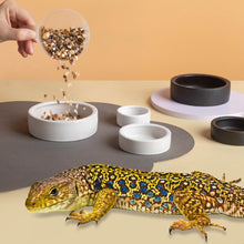 Load image into Gallery viewer, Reptile Food Bowl Anti-Escape Ceramic Feeder High Rim Anti-Slip Feeder Dish for Lizards Leopard Gecko Chameleon Corn Snake
