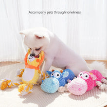 Load image into Gallery viewer, Colorful Animals Shaped Dog Stuffed Plush Bite Toy Interactive Pet Toy for Fun Pet Cotton Rope Chew Resistan Squeaky Toy
