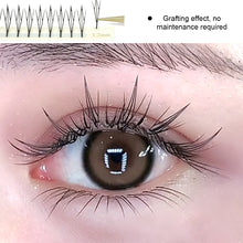Load image into Gallery viewer, Grafted Eyelashes Segmented Single Cluster False Eyelashes Soft Non Loose Roots Flexible False Eyelashes
