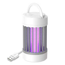 Load image into Gallery viewer, Electric Mosquitoes Killer Lamp Indoor Attractant Fly Trap For Mosquitoes Indoor USB Plug Mosquitoes Trap Light Lamp
