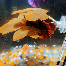 Load image into Gallery viewer, Betta Leaf Hammock with Suction Cup Artificial Aquarium Plant Resting Bed for Betta Fish Fish Tank Decorative Floating Plant
