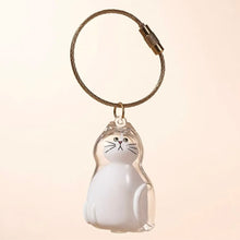 Load image into Gallery viewer, 1/6pcs Kawaii Cat Hair Storage Box Transparent Pet Hair Keepsake Pendant for Pet Memorial Healing Pendant Cat Lover Keyring Accessory
