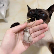 Load image into Gallery viewer, 1/6pcs Kawaii Cat Hair Storage Box Transparent Pet Hair Keepsake Pendant for Pet Memorial Healing Pendant Cat Lover Keyring Accessory
