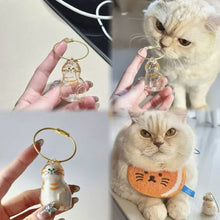 Load image into Gallery viewer, 1/6pcs Kawaii Cat Hair Storage Box Transparent Pet Hair Keepsake Pendant for Pet Memorial Healing Pendant Cat Lover Keyring Accessory
