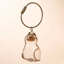 Load image into Gallery viewer, 1/6pcs Kawaii Cat Hair Storage Box Transparent Pet Hair Keepsake Pendant for Pet Memorial Healing Pendant Cat Lover Keyring Accessory
