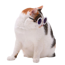 Load image into Gallery viewer, For Labubu Glasses 8cm Cute Plastic Glasses for 17cm Labubu 20cm Cotton Dolls Toy Glasses Accessories
