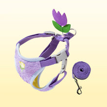Load image into Gallery viewer, Pet Vest Leash Cartoon 3D Accessories for Dogs Teddy Dog Walking Rope Cat Walking Rope Anti Slip Chest Back When Going Out
