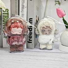 Load image into Gallery viewer, 1PC Protective Acrylic Storage Case For Skull Panda Plush Dolls Display Bag No Doll Transparent Portable Cable Organizer Box
