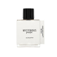 Load image into Gallery viewer, Men's Eau de Parfum EDP Perfume 50ml Woody Notes Fragrance for Male Daily Long Lasting Perfume
