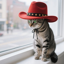 Load image into Gallery viewer, Cool Pet Dog Cowboy Hat Funny Costume Cosplay Hat Autumn Winter for Small Dogs Cats
