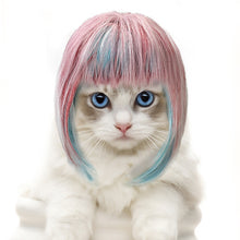 Load image into Gallery viewer, Pet Wigs Cosplay Props Funny Dogs Cats Cross-Dressing Hair Hat Costumes Head Accessories For Halloowen Christmas Pets Supplies
