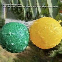 Load image into Gallery viewer, Sticky Fruit Fly Trap Ball Fruit Fly Trap with Sticky Adhesive Hanging Ball for Garden Orchard Fruit Fly Catcher Pest Control
