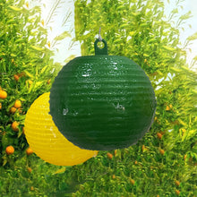 Load image into Gallery viewer, Sticky Fruit Fly Trap Ball Fruit Fly Trap with Sticky Adhesive Hanging Ball for Garden Orchard Fruit Fly Catcher Pest Control
