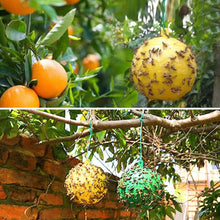 Load image into Gallery viewer, Sticky Fruit Fly Trap Ball Fruit Fly Trap with Sticky Adhesive Hanging Ball for Garden Orchard Fruit Fly Catcher Pest Control
