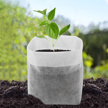 Load image into Gallery viewer, 100Pcs Biodegradable Plant Grow Bags Non-Woven Nursery Pots for Seed Starting Home Garden Accessories Tools
