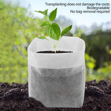 Load image into Gallery viewer, 100Pcs Biodegradable Plant Grow Bags Non-Woven Nursery Pots for Seed Starting Home Garden Accessories Tools
