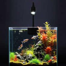 Load image into Gallery viewer, USB Adjustable Focus Aquarium Spot Light Aquascape Clip Lamp for Nano Fish Tank 360° Rotatable Clip Light for Betta/Small Aquariums Accessories
