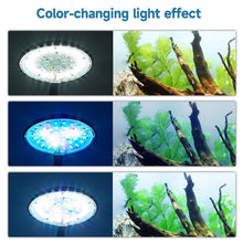 Load image into Gallery viewer, Adjustable Aquarium Light Dimmable Aquarium LED Spot Light 360° Rotatable Fish Tank Lamp Aquascaping For Fish Turtle Betta/Small Aquariums Accessories
