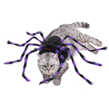 Load image into Gallery viewer, Novelty Halloween Pet Spider Costume Cute Dogs Cats Vibrant Plush Spider Outfit Easy Wear Pet Party Cosplay Dress Suit Pet Costume
