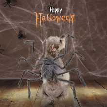 Load image into Gallery viewer, Novelty Halloween Pet Spider Costume Cute Dogs Cats Vibrant Plush Spider Outfit Easy Wear Pet Party Cosplay Dress Suit Pet Costume
