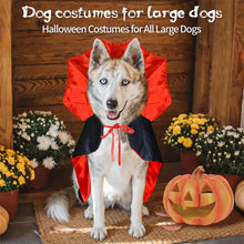 Load image into Gallery viewer, Halloween Bat Cape for Dogs Cats Vampire Cape Cat Costume Spooky Party Pet Cosplay Transform Outfit Halloween Pet Accessory
