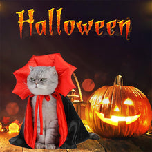 Load image into Gallery viewer, Halloween Bat Cape for Dogs Cats Vampire Cape Cat Costume Spooky Party Pet Cosplay Transform Outfit Halloween Pet Accessory
