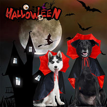 Load image into Gallery viewer, Halloween Bat Cape for Dogs Cats Vampire Cape Cat Costume Spooky Party Pet Cosplay Transform Outfit Halloween Pet Accessory

