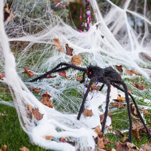 Load image into Gallery viewer, Giant Halloween Spider Decor Realistic Scary Prank Jumbo Fluffy Spider Creepy Crawler Halloween Party/Haunted House/Bar Scare Spider Decor

