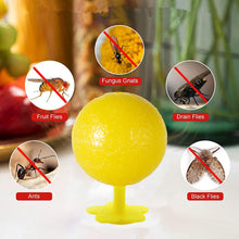 Load image into Gallery viewer, Sticky Fly Trap Glue Ball Mosquito Catcher USB Night Light Disposable Replaceable Glue Balls Fruit Fly Catcher Kitchen Safe Pet Insect Trap

