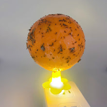 Load image into Gallery viewer, Sticky Fly Trap Glue Ball Mosquito Catcher USB Night Light Disposable Replaceable Glue Balls Fruit Fly Catcher Kitchen Safe Pet Insect Trap
