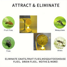 Load image into Gallery viewer, Sticky Fly Trap Glue Ball Mosquito Catcher USB Night Light Disposable Replaceable Glue Balls Fruit Fly Catcher Kitchen Safe Pet Insect Trap

