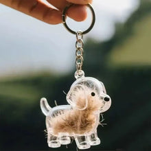 Load image into Gallery viewer, 1 Kawaii Dog Hair Storage Box Puppy Transparent Pet Hair Keepsake Pendant for Pet Memorial Healing Pendant Cat/Dog Lover Keyring Accessory
