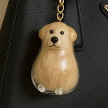 Load image into Gallery viewer, 1 Kawaii Dog Hair Storage Box Puppy Transparent Pet Hair Keepsake Pendant for Pet Memorial Healing Pendant Cat/Dog Lover Keyring Accessory
