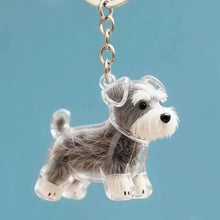 Load image into Gallery viewer, 1 Kawaii Dog Hair Storage Box Puppy Transparent Pet Hair Keepsake Pendant for Pet Memorial Healing Pendant Cat/Dog Lover Keyring Accessory
