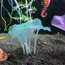 Load image into Gallery viewer, Fluorescent Silicone Coral Reef Decoration for Fish Tank with Night Glow Effect Aquarium Ornaments Safe for All Fish and Shrimps
