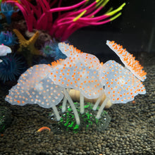 Load image into Gallery viewer, Fluorescent Silicone Coral Reef Decoration for Fish Tank with Night Glow Effect Aquarium Ornaments Safe for All Fish and Shrimps
