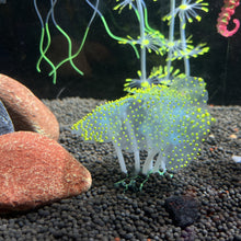 Load image into Gallery viewer, Fluorescent Silicone Coral Reef Decoration for Fish Tank with Night Glow Effect Aquarium Ornaments Safe for All Fish and Shrimps
