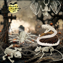 Load image into Gallery viewer, Fake Animal Skeleton Model Halloween Decor Dog Bat Spider Scorpion Cat Skeleton Scary Pendant Props Haunted House Graveyard Scene Accessories
