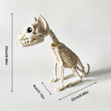 Load image into Gallery viewer, Fake Animal Skeleton Model Halloween Decor Dog Bat Spider Scorpion Cat Skeleton Scary Pendant Props Haunted House Graveyard Scene Accessories

