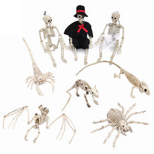 Load image into Gallery viewer, Fake Animal Skeleton Model Halloween Decor Dog Bat Spider Scorpion Cat Skeleton Scary Pendant Props Haunted House Graveyard Scene Accessories

