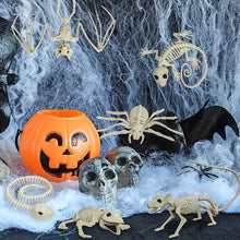 Load image into Gallery viewer, Fake Animal Skeleton Model Halloween Decor Dog Bat Spider Scorpion Cat Skeleton Scary Pendant Props Haunted House Graveyard Scene Accessories
