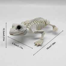 Load image into Gallery viewer, Fake Animal Skeleton Model Halloween Decor Dog Bat Spider Scorpion Cat Skeleton Scary Pendant Props Haunted House Graveyard Scene Accessories
